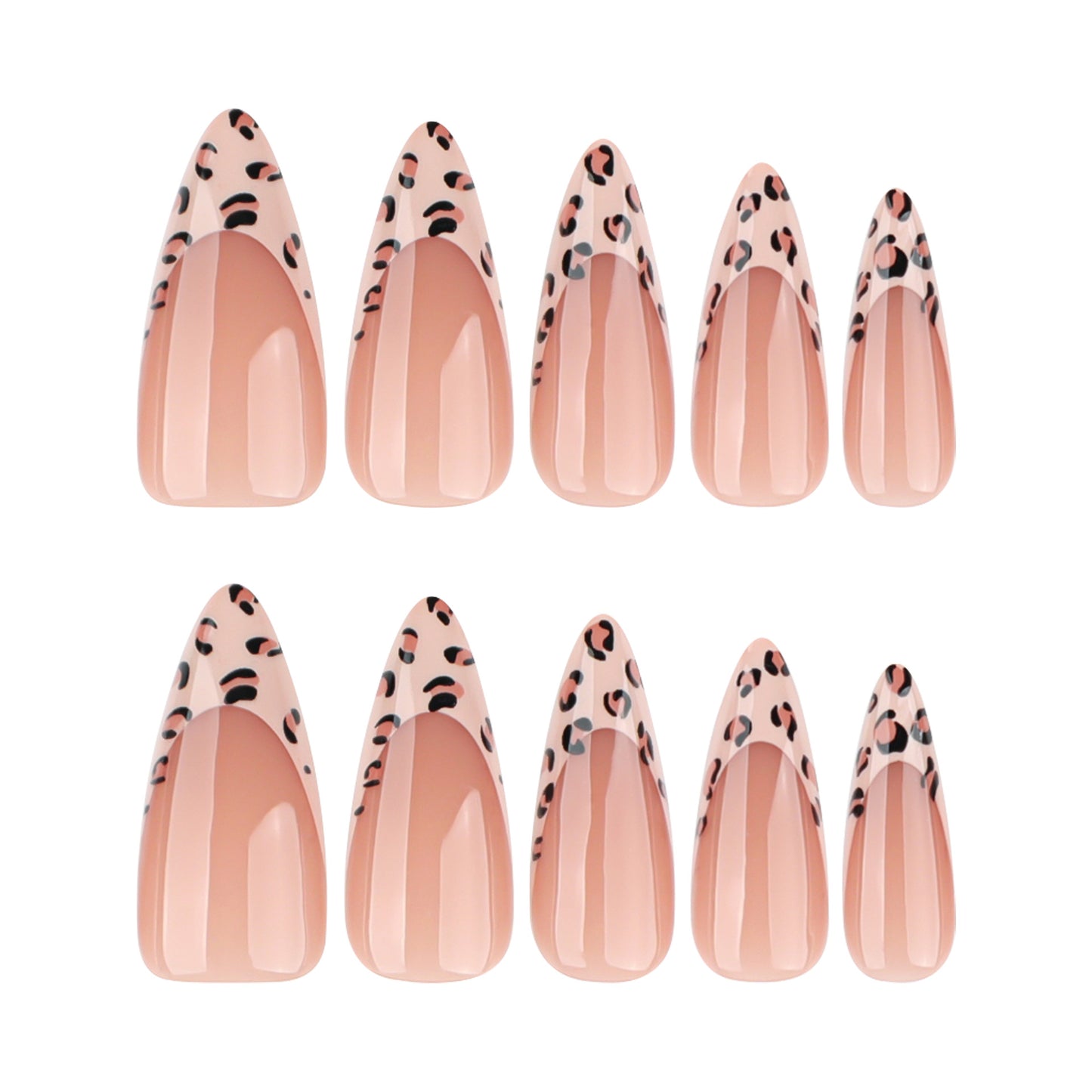 12 sizes 24 pieces leopard press on nails measurements - ClairClaw Artemis